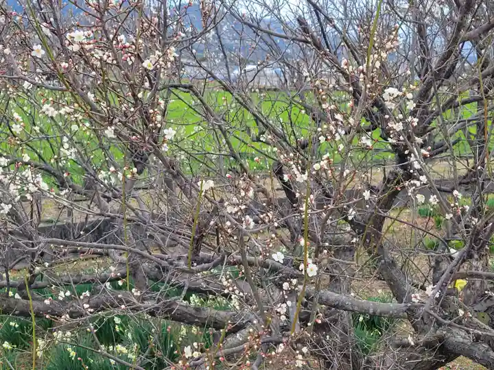 浮嶋神社(愛媛県)