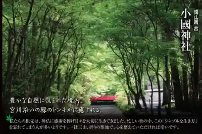 普門寺(切り絵御朱印発祥の寺)(愛知県)