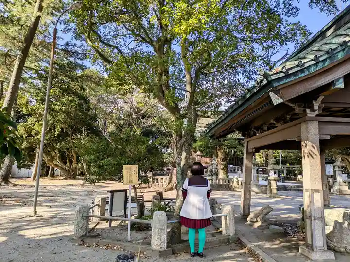 春日神社の自然