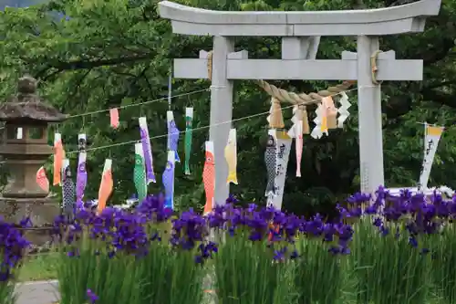 高司神社〜むすびの神の鎮まる社〜の鳥居