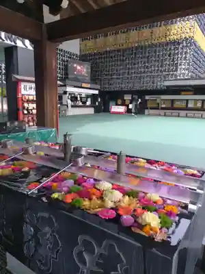 成田山深川不動堂（新勝寺東京別院）(東京都)