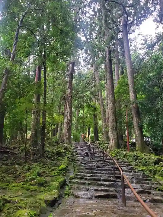 飛瀧神社(熊野那智大社別宮)(和歌山県)