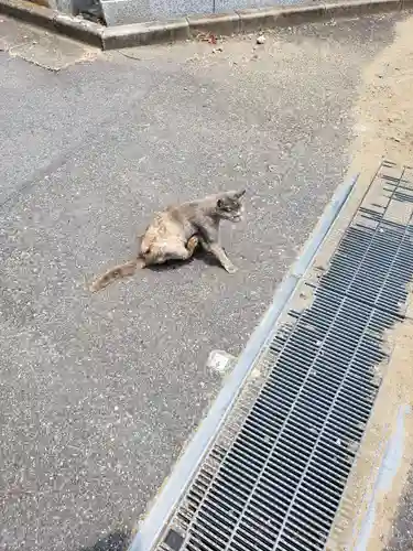 成田山新勝寺(千葉県)