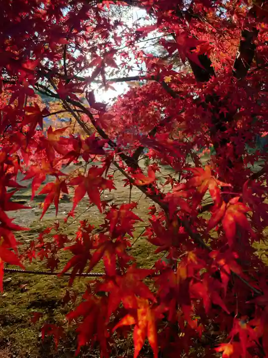 南禅寺(京都府)