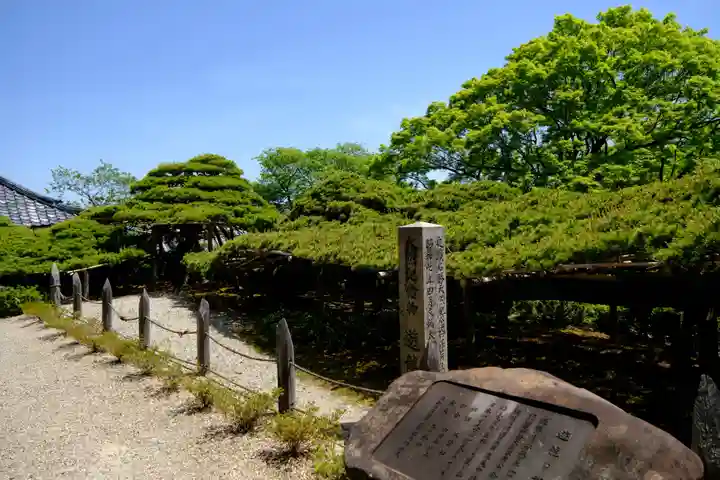善峯寺(京都府)