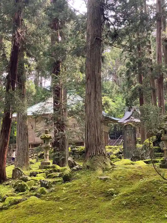 平泉寺白山神社(福井県)