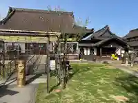 四季桜の寺 妙乗院(愛知県)