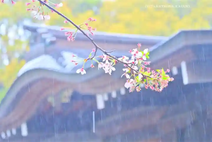 鶴岡八幡宮の自然