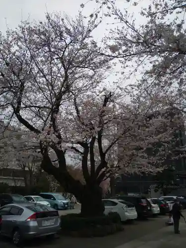 伝通院(東京都)
