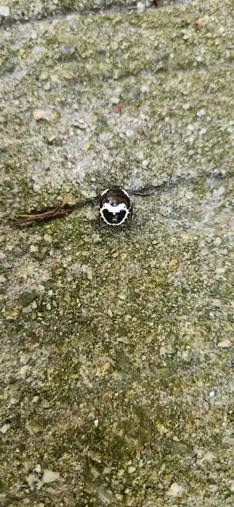 木幡山隠津島神社(二本松市)(福島県)