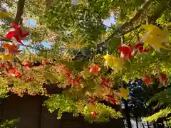 滑川神社 - 仕事と子どもの守り神(福島県)