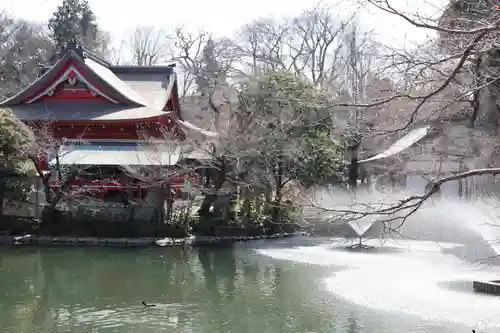井の頭弁財天（大盛寺）(東京都)