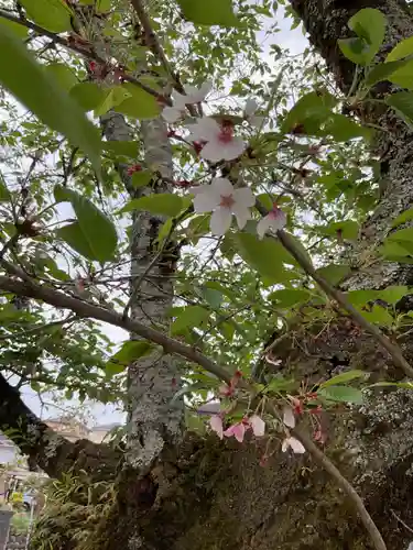小山寺(岐阜県)