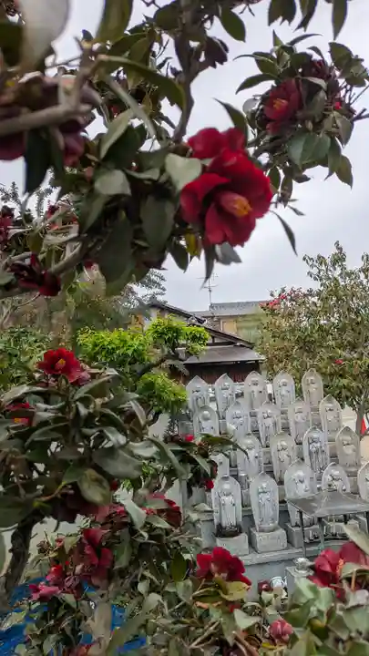 大松禅寺(京都府)