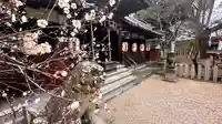 池坐朝霧黄幡比賣神社(奈良県)