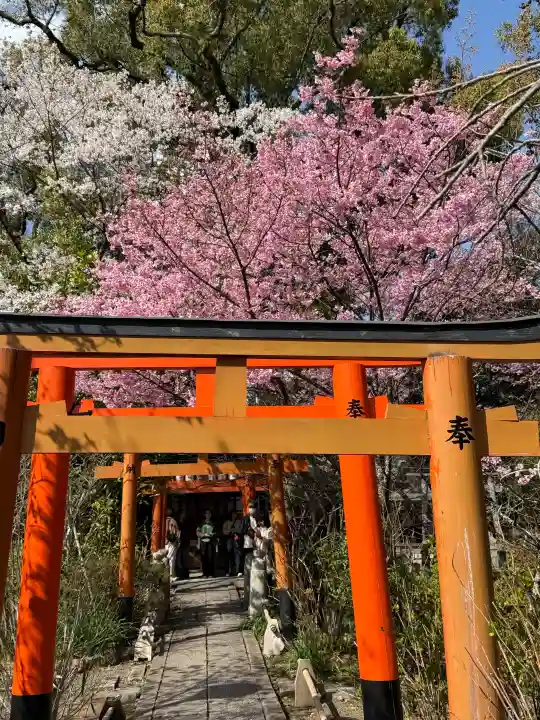 平野神社の{uncategorized: "未分類", other: "その他", undefined: "問題あり", building: "その他建物", grave: "お墓", sacred_gate: "鳥居", guardian: "狛犬", statue: "像", buddha: "仏像", history: "歴史", nature: "自然", garden: "庭園", animal: "動物", pagoda: "塔", temizu: "手水舎", mountain_gate: "山門・神門", sanctuary: "本殿・本堂", subordinate: "末社・摂社", art: "芸術", scenery: "景色", jizo: "地蔵", ema: "絵馬", goshuin: "御朱印", omikuji: "おみくじ", items: "授与品その他", amulet: "お守り", goshuincho: "御朱印帳", eats: "食事", festival: "お祭り", votive_dance: "神楽", shichigosan: "七五三参", wedding: "結婚式", experience: "体験その他", initially: "初詣", around: "周辺", anti_infection: "感染症対策"}