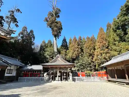 國津神社(奈良県)
