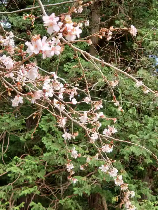 鹿島大神宮(福島県)