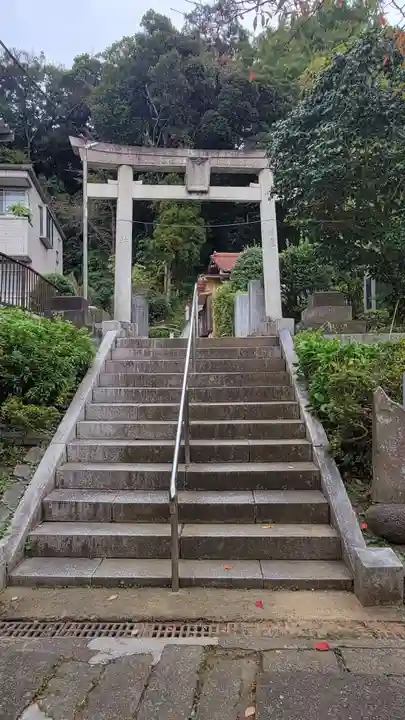 熊野神社(杉田・中原)の鳥居