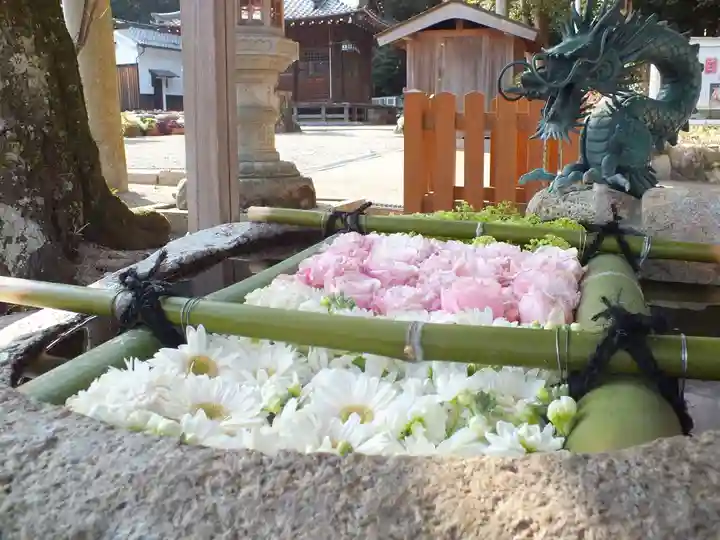 立志神社の手水舎