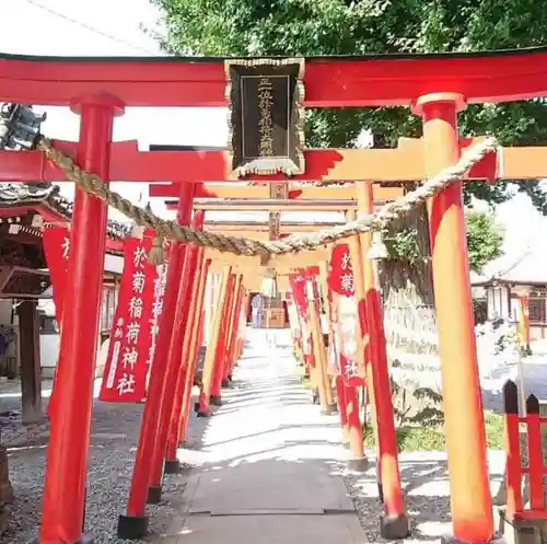 於菊稲荷神社の鳥居