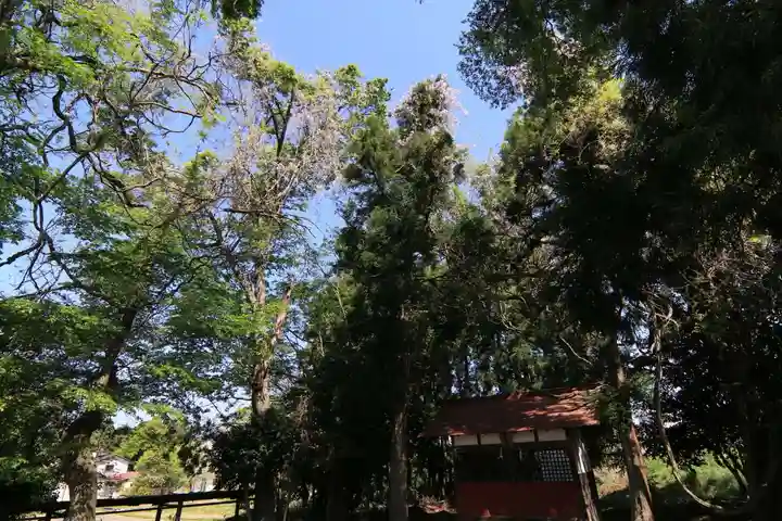 藤稲荷神社の庭園