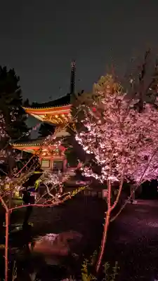 知恩院(京都府)