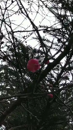 八重垣神社の自然
