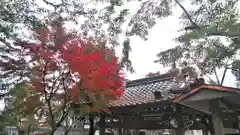 松尾大社の庭園