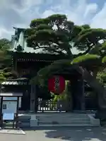 長谷寺の山門・神門