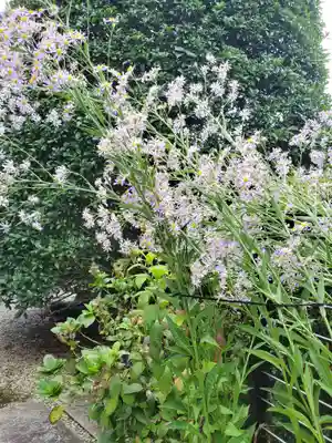 法善寺(埼玉県)