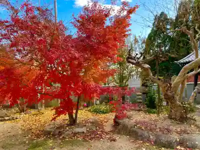 長楽寺(兵庫県)