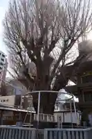 櫛田神社(福岡県)