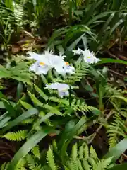 高蔵寺の自然