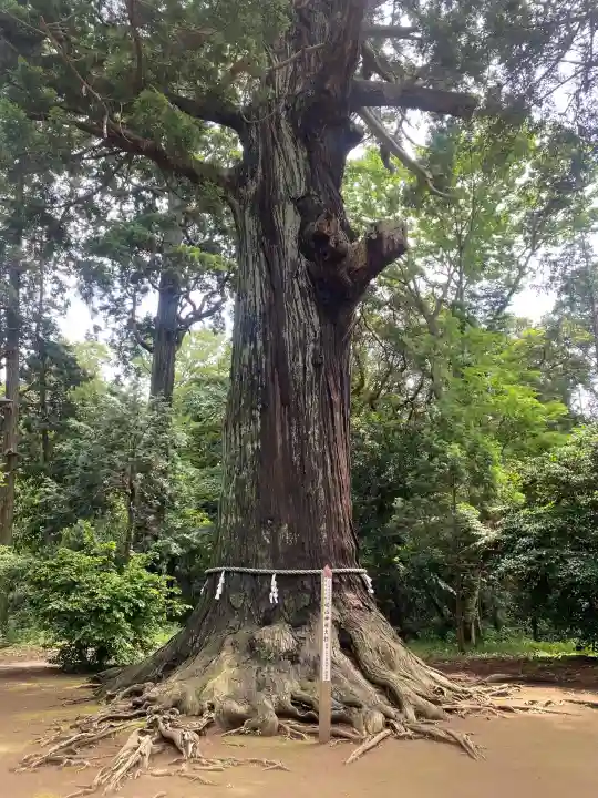 松山神社の{uncategorized: "未分類", other: "その他", undefined: "問題あり", building: "その他建物", grave: "お墓", sacred_gate: "鳥居", guardian: "狛犬", statue: "像", buddha: "仏像", history: "歴史", nature: "自然", garden: "庭園", animal: "動物", pagoda: "塔", temizu: "手水舎", mountain_gate: "山門・神門", sanctuary: "本殿・本堂", subordinate: "末社・摂社", art: "芸術", scenery: "景色", jizo: "地蔵", ema: "絵馬", goshuin: "御朱印", omikuji: "おみくじ", items: "授与品その他", amulet: "お守り", goshuincho: "御朱印帳", eats: "食事", festival: "お祭り", votive_dance: "神楽", shichigosan: "七五三参", wedding: "結婚式", experience: "体験その他", initially: "初詣", around: "周辺", anti_infection: "感染症対策"}