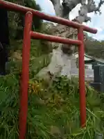 祠の鳥居