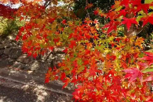 爲那都比古神社の庭園