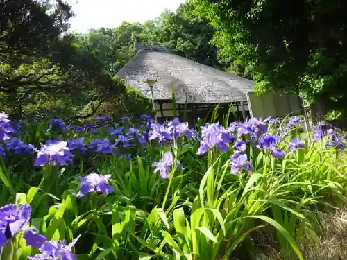 横浜　西方寺の本殿・本堂