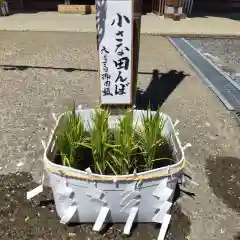 七重浜海津見神社(北海道)