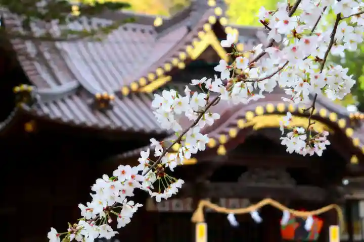 三津厳島神社の自然