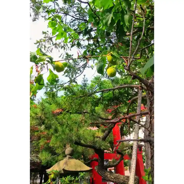 彌彦神社 (伊夜日子神社)の自然