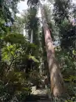 室生寺奥の院(奈良県)
