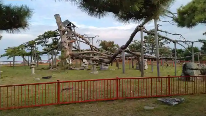 唐崎神社(滋賀県)
