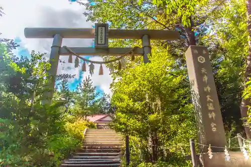 天津神大龍神宮の鳥居