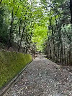 母の白滝神社(山梨県)