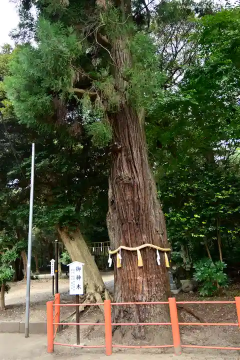 息栖神社の自然
