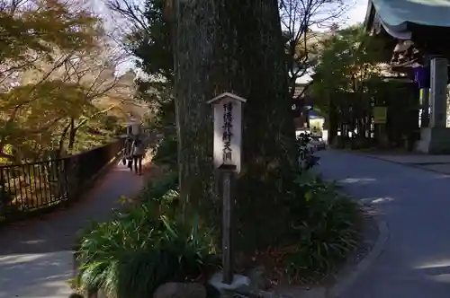 薬王院福徳弁財天洞のその他建物