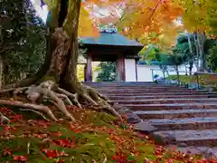 安楽寺(京都府)