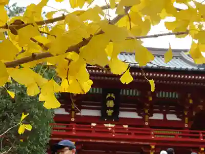 鶴岡八幡宮(神奈川県)
