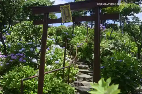 白山神社(東京都)
